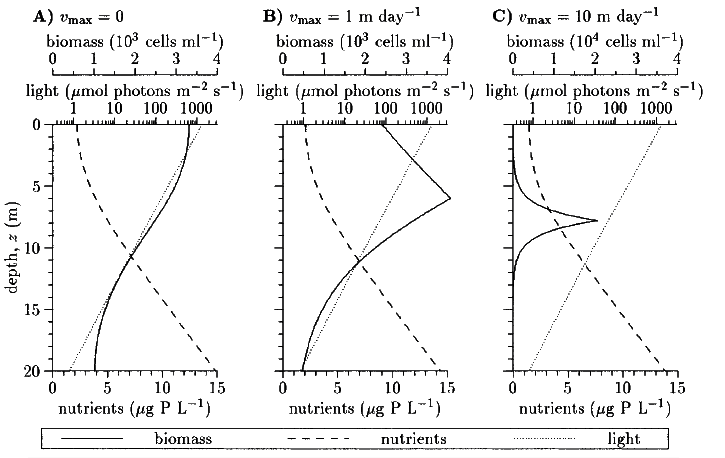 Equilibrium_profiles_1