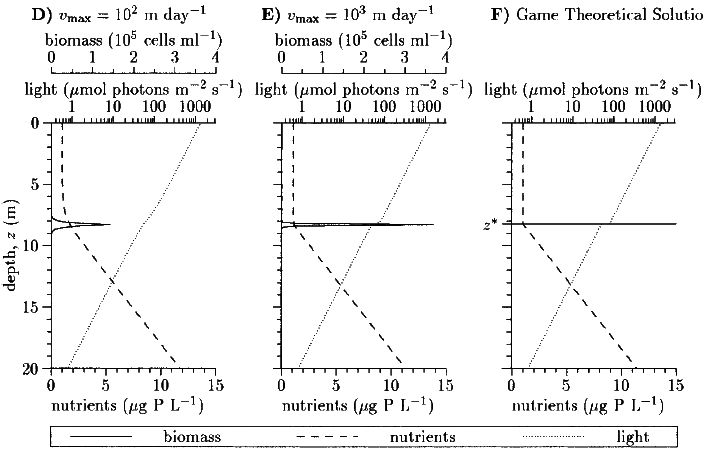 Equilibrium_profiles_2